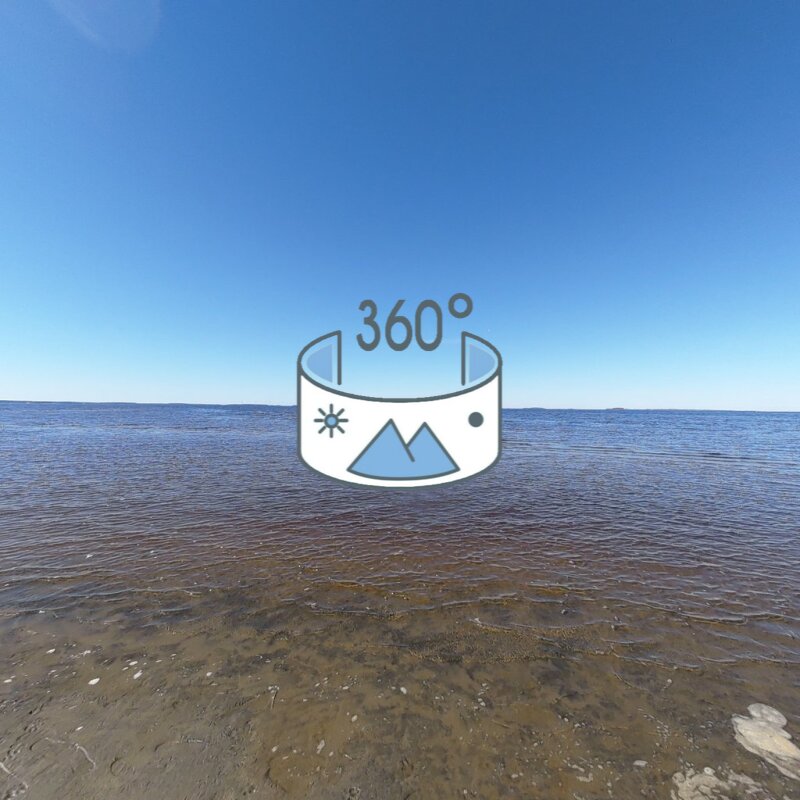 All the way to the bank